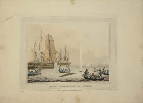 Primera imagen del registro Boats approaching a whale