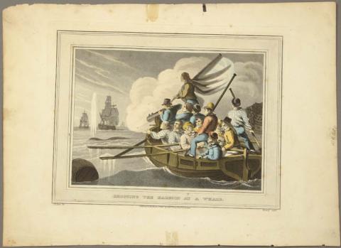 Primera imagen del registro Shooting the harpoon at a whale