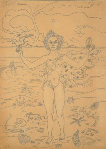 Primera imagen del registro La Venus después del diluvio