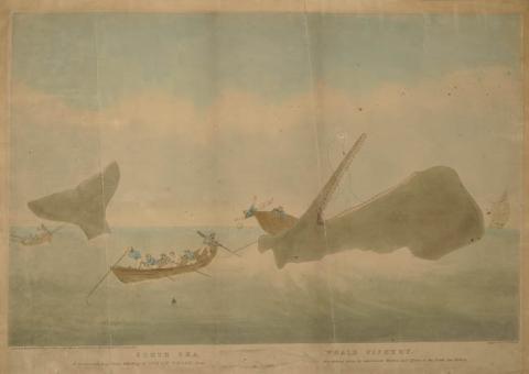Primera imagen del registro South Sea Whale Fishery