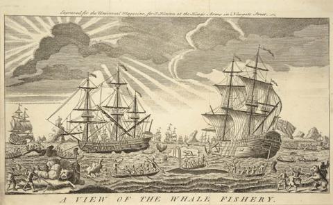Primera imagen del registro A view of the whale fishery
