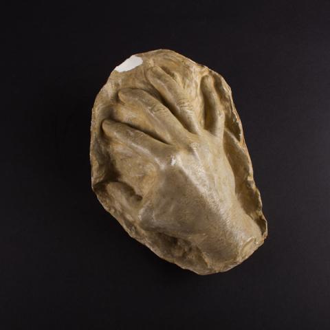 Primera imagen del registro Molde de la Mano de Claudio Arrau