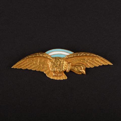 Primera imagen del registro Insignia (artefacto de identificación)