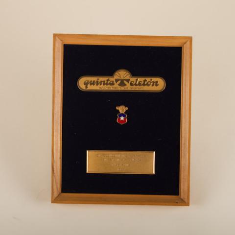 Primera imagen del registro En reconocimiento por creen en esta noble cruzada Teletón