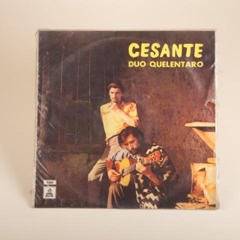Primera imagen del registro Cesante