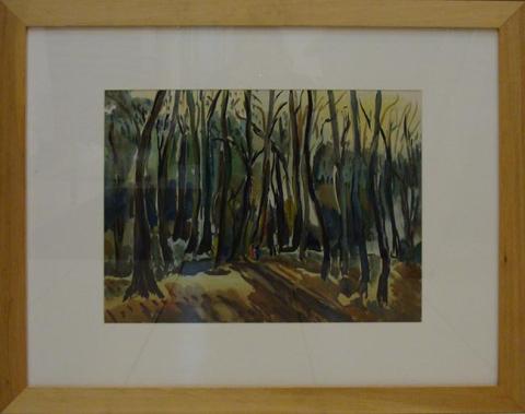 Primera imagen del registro Bosque