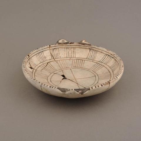 Primera imagen del registro Platillo (plato)