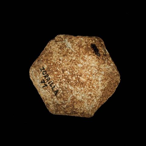 Romina Moncada Zilleruelo Romina Moncada Zilleruelo