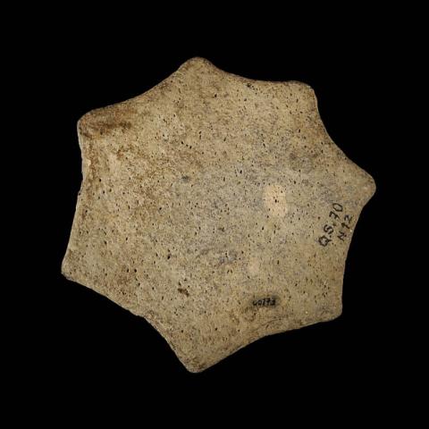 Romina Moncada Zilleruelo Romina Moncada Zilleruelo