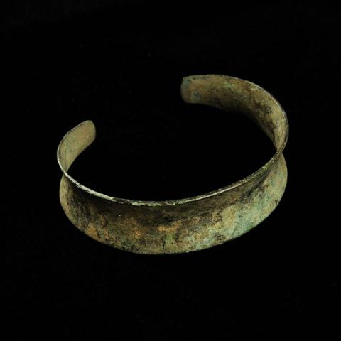 Primera imagen del registro Brazalete