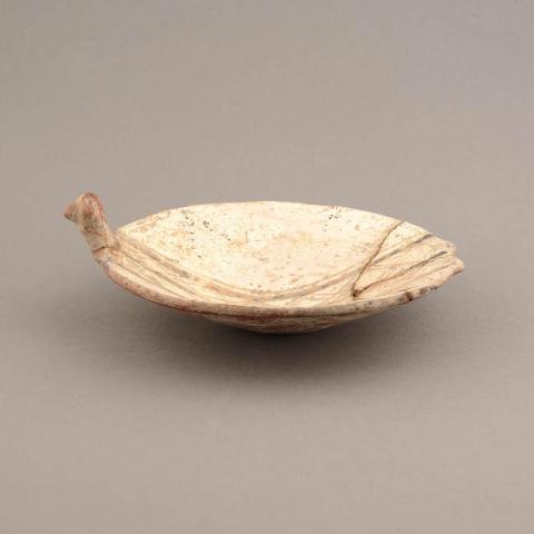Primera imagen del registro Platillo (plato)