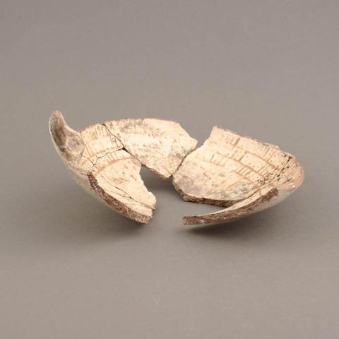 Primera imagen del registro Platillo (plato)
