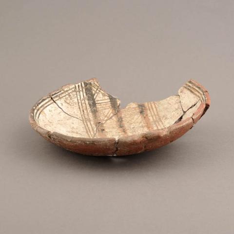 Primera imagen del registro Platillo (plato)