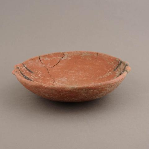 Primera imagen del registro Platillo (plato)
