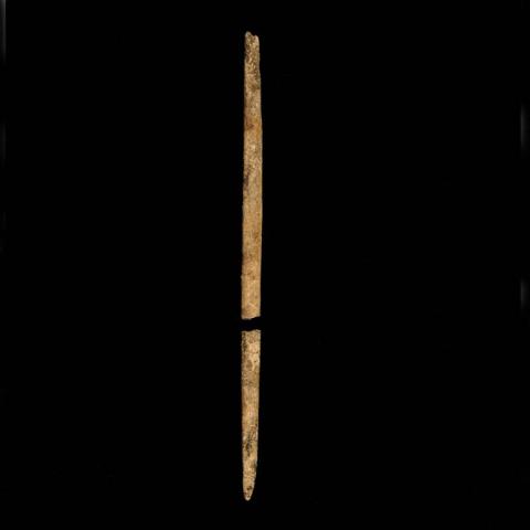 Primera imagen del registro Aguja (arqueológico y etnográfico)