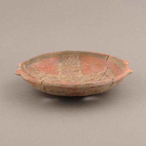Primera imagen del registro Platillo (plato)