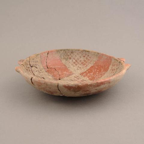 Primera imagen del registro Platillo (plato)