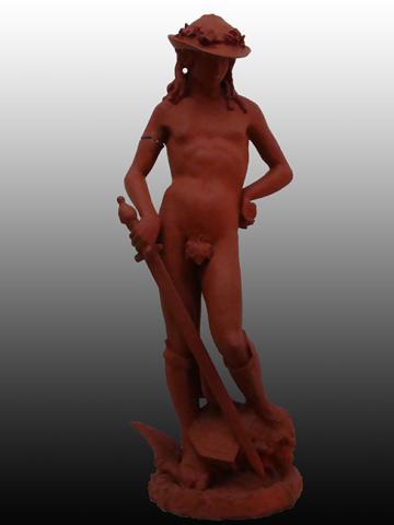 Primera imagen del registro David