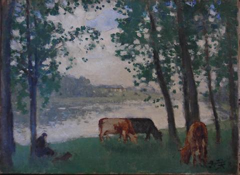 Primera imagen del registro Vacas