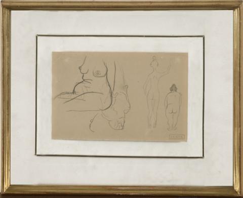 Primera imagen del registro Estudio de cuerpo de mujer