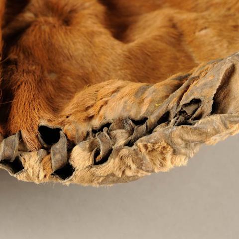 Romina Moncada Zilleruelo