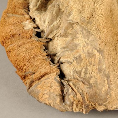 Romina Moncada Zilleruelo