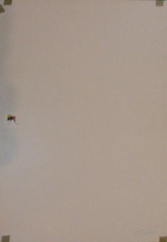 Primera imagen del registro Trayectoría de una mosca
