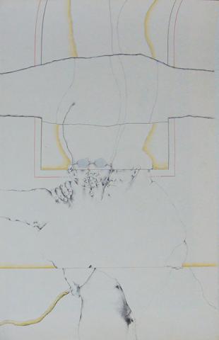 Primera imagen del registro Simbiosis