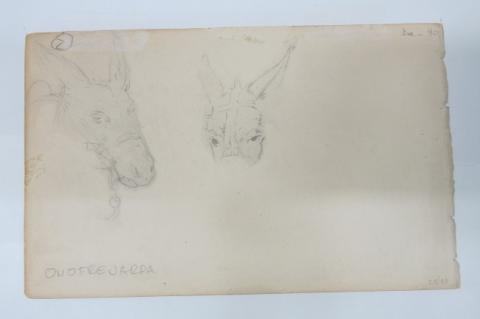 Primera imagen del registro Cabezas de Burro