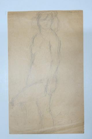 Primera imagen del registro Desnudo
