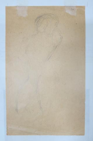 Primera imagen del registro Desnudo