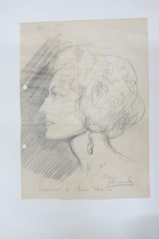 Primera imagen del registro Retrato de Doña María Tocornal de Claro