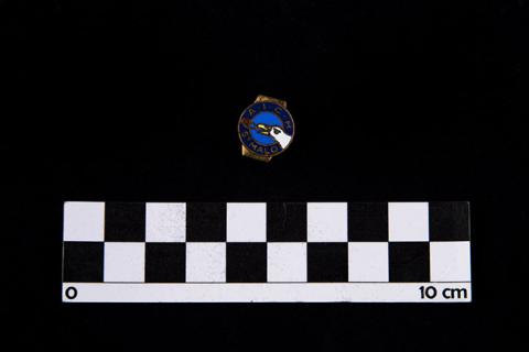 Primera imagen del registro Pin