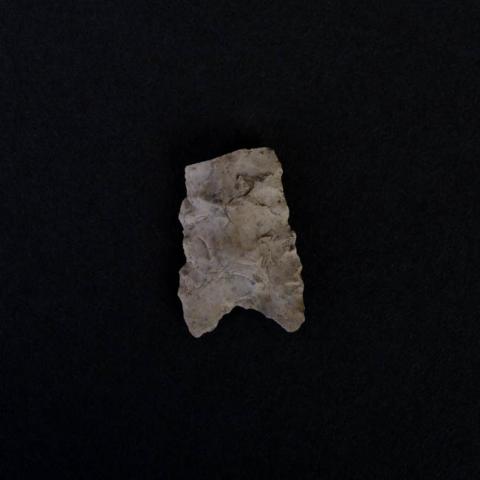 Primera imagen del registro Punta de proyectil