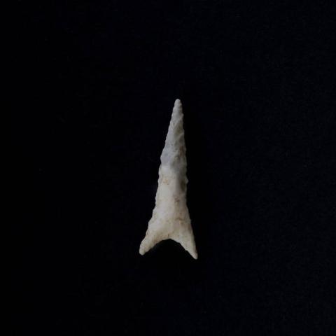 Primera imagen del registro Punta de proyectil