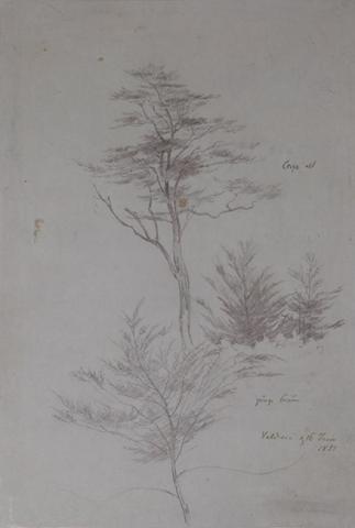 Primera imagen del registro Valdivia, 1851