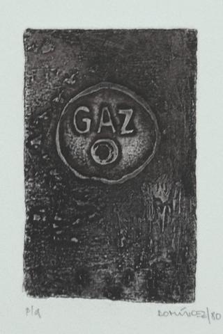 Primera imagen del registro Gaz