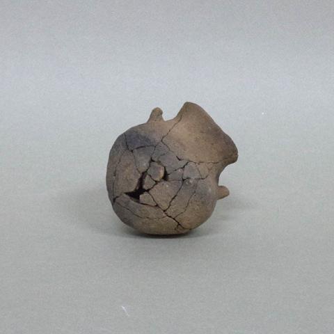 Primera imagen del registro Miniatura (atributo de tamaño)