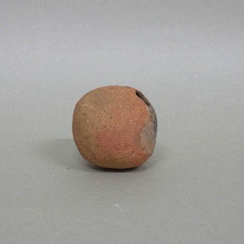 Primera imagen del registro Coquito