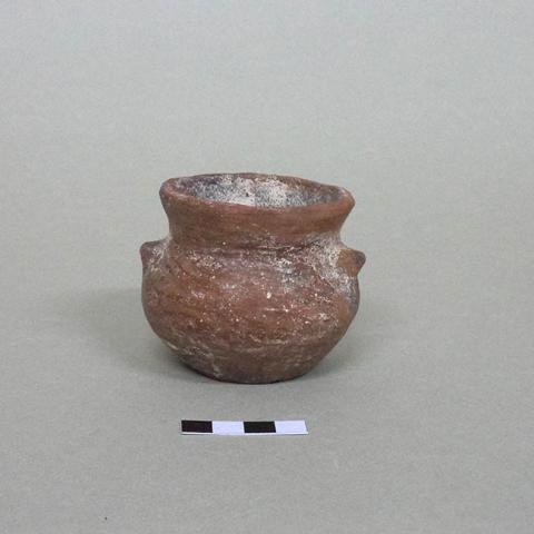 Primera imagen del registro Miniatura (atributo de tamaño)