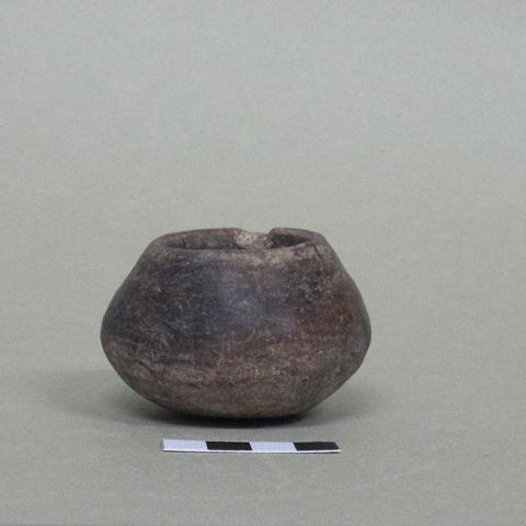 Primera imagen del registro Miniatura (atributo de tamaño)