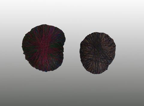 Primera imagen del registro Hidden Treasures