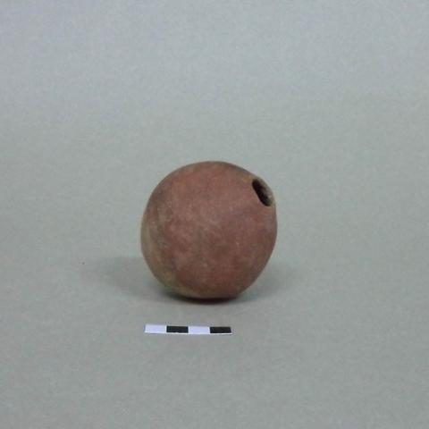 Primera imagen del registro Coquito