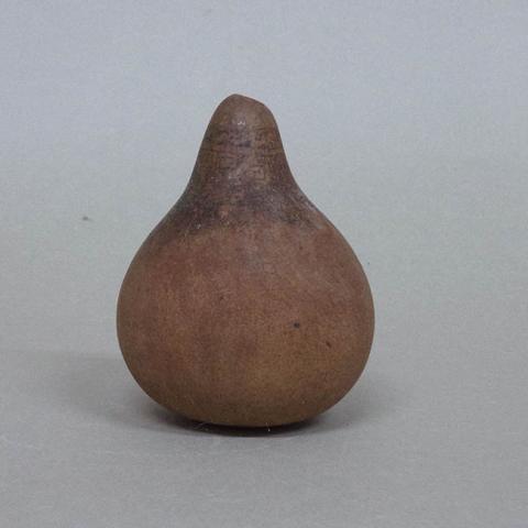 Primera imagen del registro Botella (arqueológica y etnográfica)
