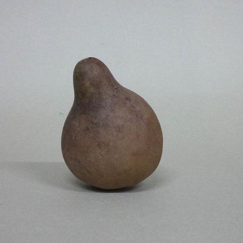 Primera imagen del registro Botella (arqueológica y etnográfica)