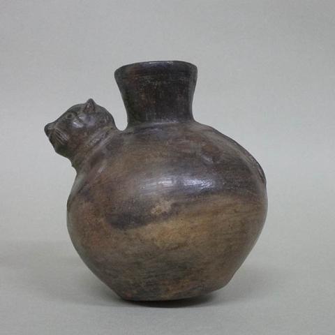 Primera imagen del registro Botella (arqueológica y etnográfica)
