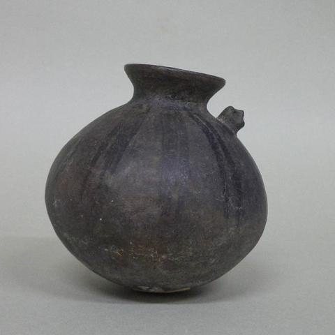 Primera imagen del registro Botella (arqueológica y etnográfica)