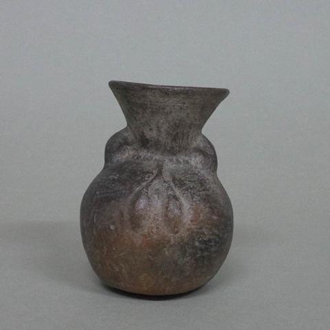 Primera imagen del registro Botella (arqueológica y etnográfica)