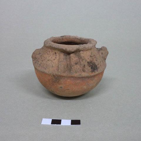 Primera imagen del registro Miniatura (atributo de tamaño)