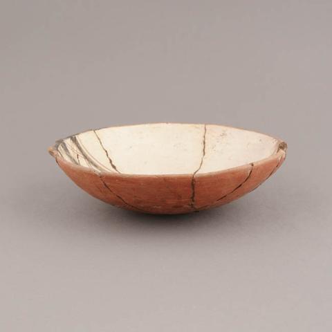 Primera imagen del registro Platillo (plato)